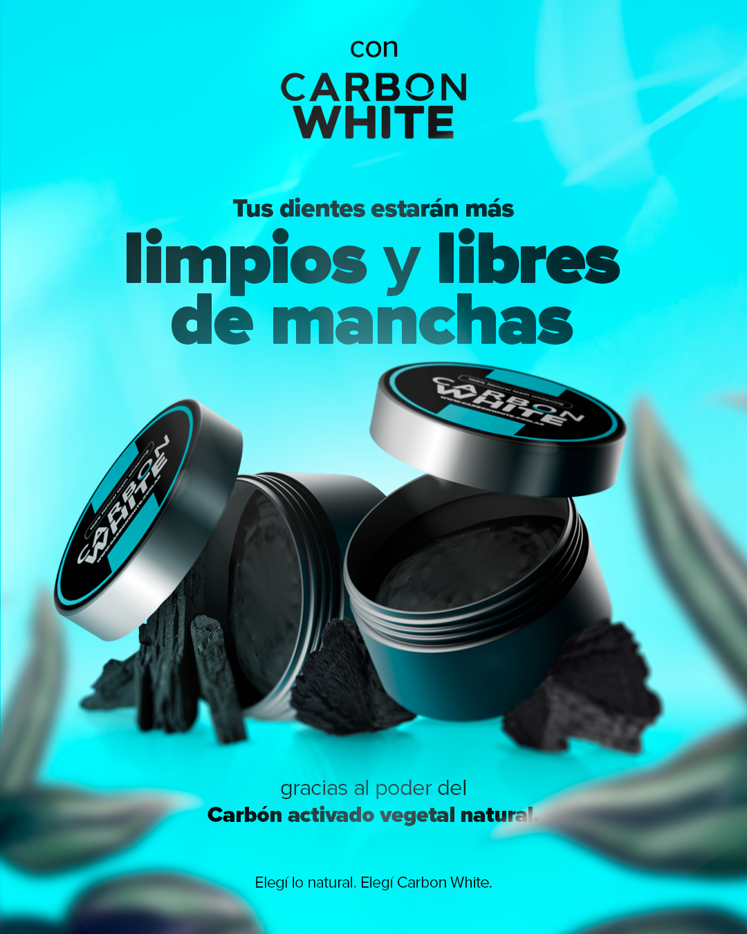 Blanqueador Dental Orgánico Carbon Activado Vegetal Dientes Blancos